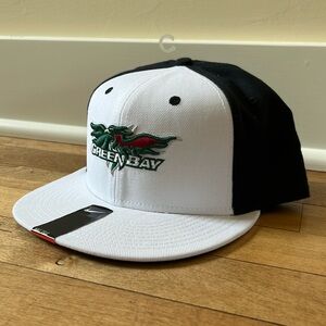 UW-Green Bay Nike True Flat-Brimmed Hat